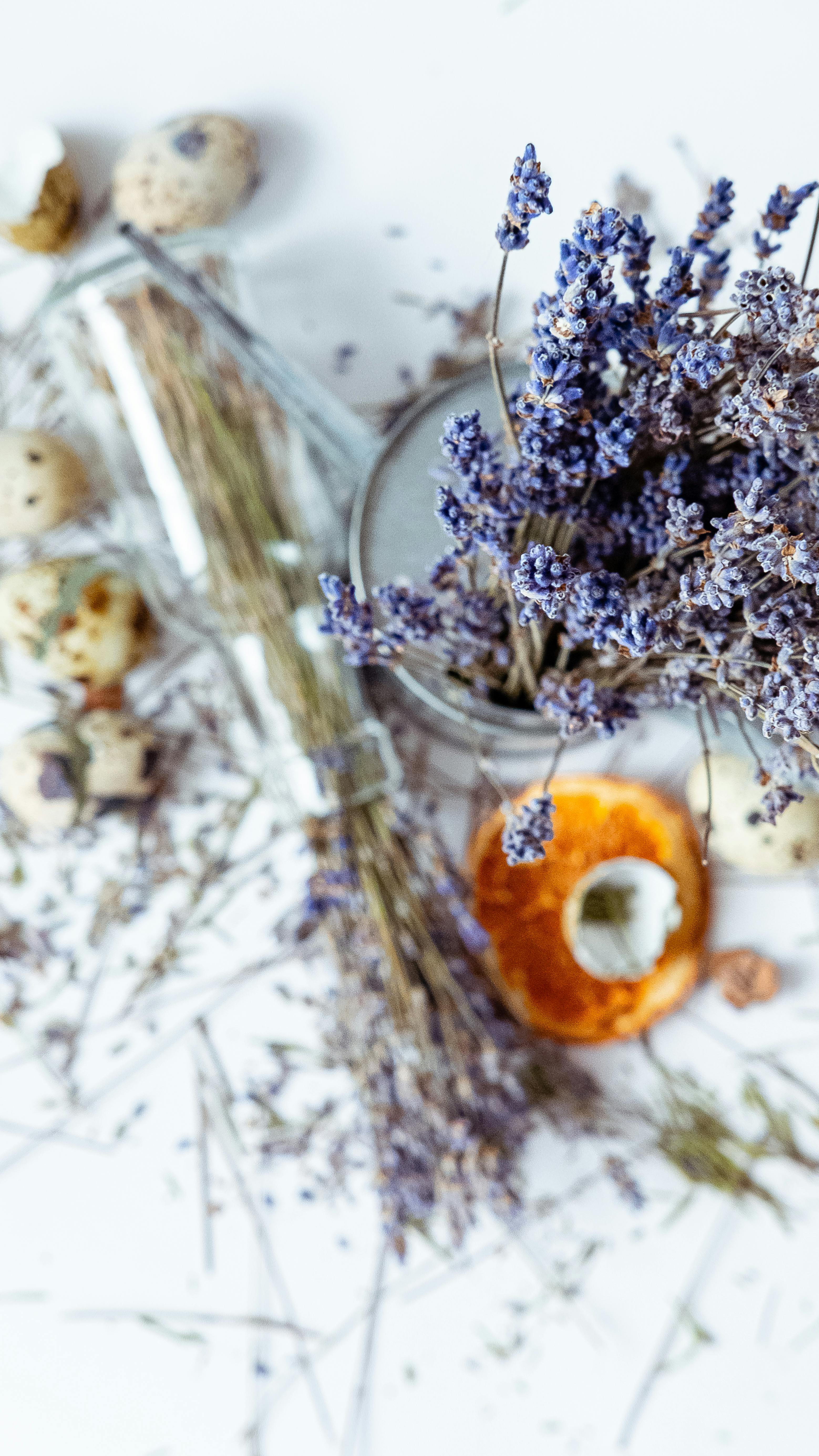 Essential Oils/Blends For the Perpetual Sleepy