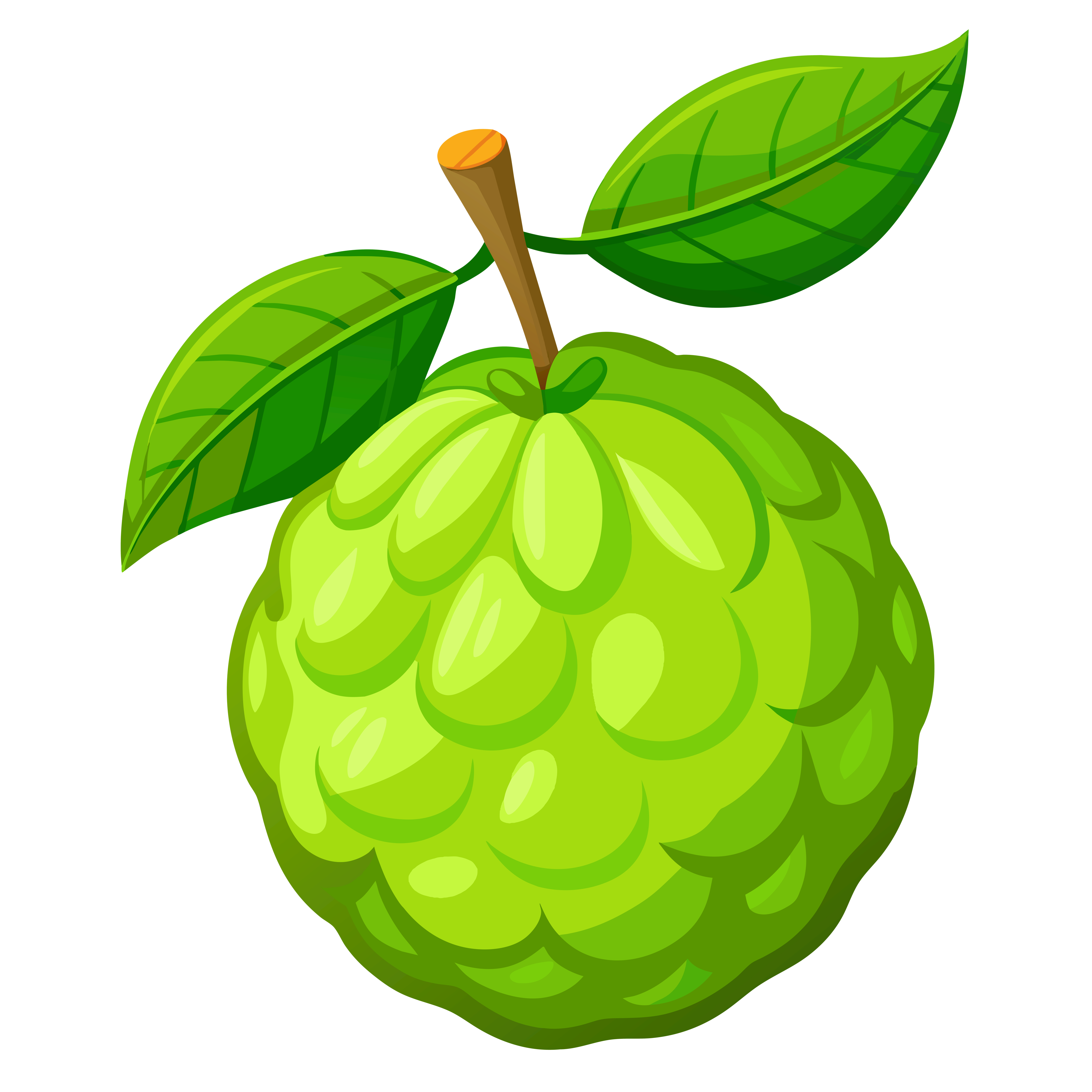 Bergamot Essential Oil